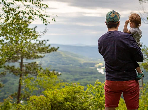 Family Bird Walk (Plymouth)