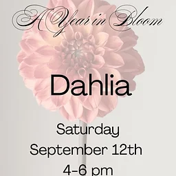 A Year in Bloom: Dahlia