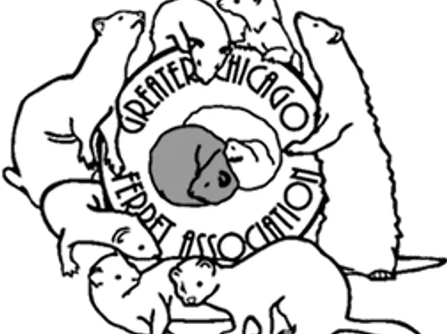 GREATEST FERRET SHOW ON EARTH 2026