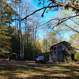 Hot Cocoa and a Fall Hike at the Bean House