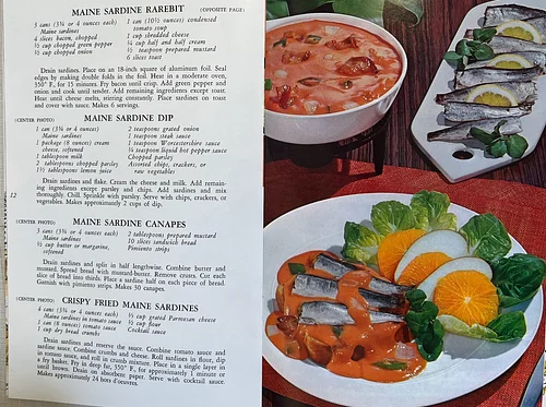 Sardine Snacks Workshop