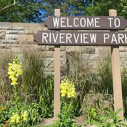 Forest Bathing in Riverview Park