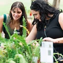Fall Plant Sale