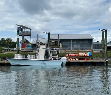 Eco Boat Tour with Beaufort Dolphin Adventures