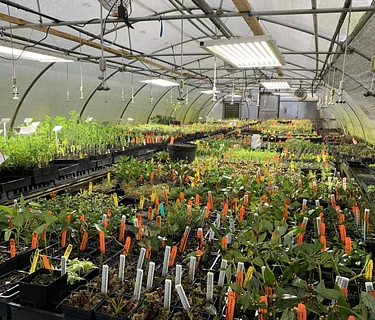 The Basics of Propagation Workshop