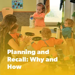 Planning and Recall: Why and How ― Online