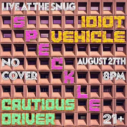 Cautious Driver, Idiot Vehicle