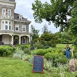 Garden Drop-in