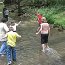 Creek Walk