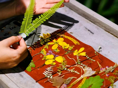 Pressed Flower Project Workshop