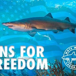 Fins for Freedom