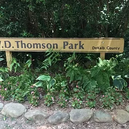 W.D. Thomson Park Workday Plant Removal