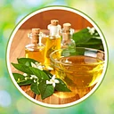 Summer Survival Kit with Essential Oils