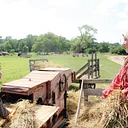 Grain Harvest + ‘Tractor Wars 2’