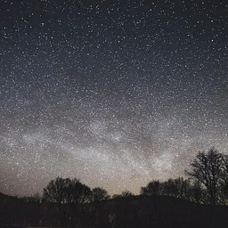 The Cosmic Zoo: Astronomy Presentation