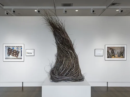 Patrick Dougherty Makes A Pilgrimage to Appalachian State