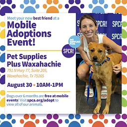 Mobile Adoptions at Pet Supplies Plus