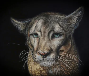 Call for Artists: Fin, Fur and Feather