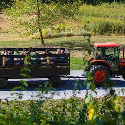 Truck & Tractor Day