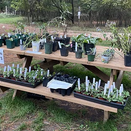 Native Plant Exchange