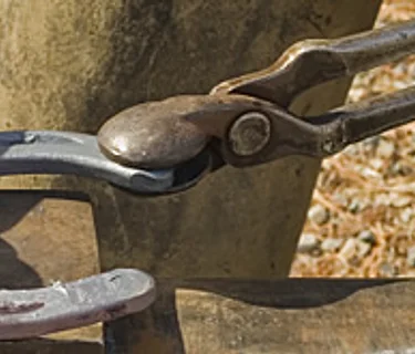 May 30th – Farrier Certification Event