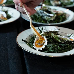 Celebrity Chef Ball