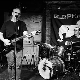 Elephant Back Live