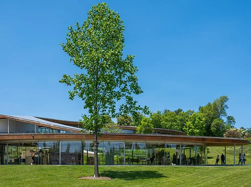 Earth Day Celebration