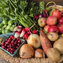 FREE Food Distribution