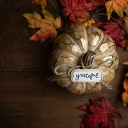 Thanksgiving Crafts Week