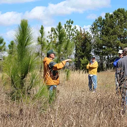 Master Naturalist Advanced Training: Autumn Photoperiod Effects in Animals and Plants