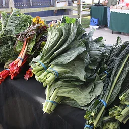Farmers Market