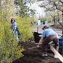 Volunteer Project Day – Pine Nursery Park