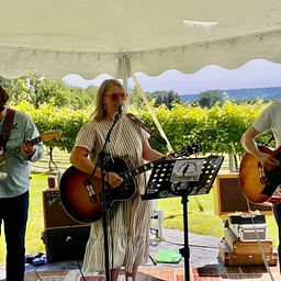 Music by Fayme Rochelle & The Waxwings