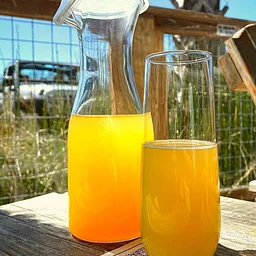 Mimosa Carafes