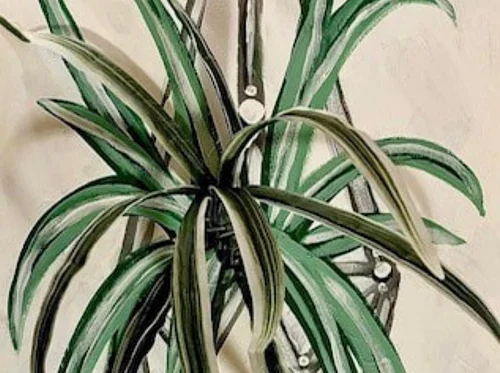 Paint & Sip: Hanging Plant