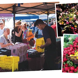 Woodstock Farmers Market