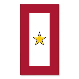 Gold Star Remembrance by Veterans Network Assoc.