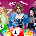 Drag Queen Bingo @ 117º West Spirits