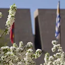 Saturday Special: Visual Arts Museum Tour