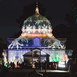 Conservatory Light Show