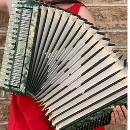 Accordions Anonymous