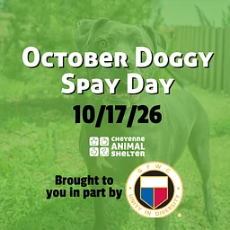 October Doggy Spay Day