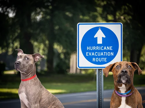 Tampa Fire Department Hurricane Expo