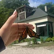Washington Island Art & Nature