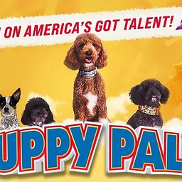 Puppy Pals Live – The Action-Packed Comedic Stunt Dog Show