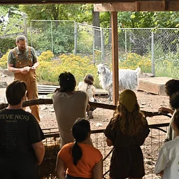 Artist Respite at Camp Colton