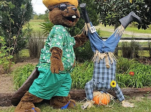 Scarecrow Festival & Contest