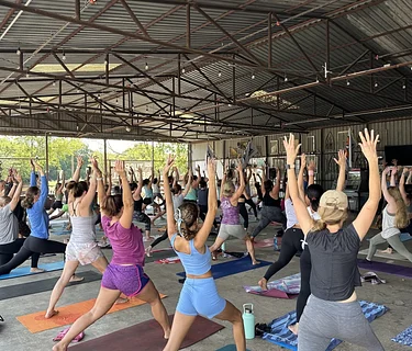 Yoga in the Beer Hall with North Texas Yoga