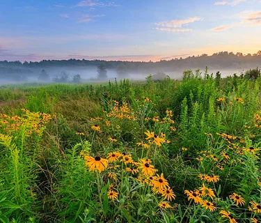 Get to Know Your Preserves Summer Series: Highland Farm Preserve